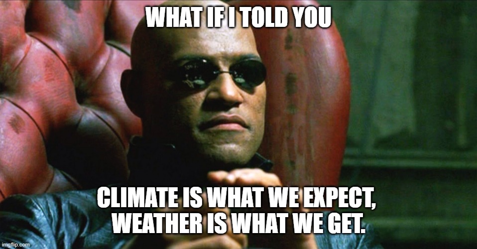 Laurence Fishburne Morpheus | WHAT IF I TOLD YOU; CLIMATE IS WHAT WE EXPECT, 
WEATHER IS WHAT WE GET. | image tagged in laurence fishburne morpheus | made w/ Imgflip meme maker