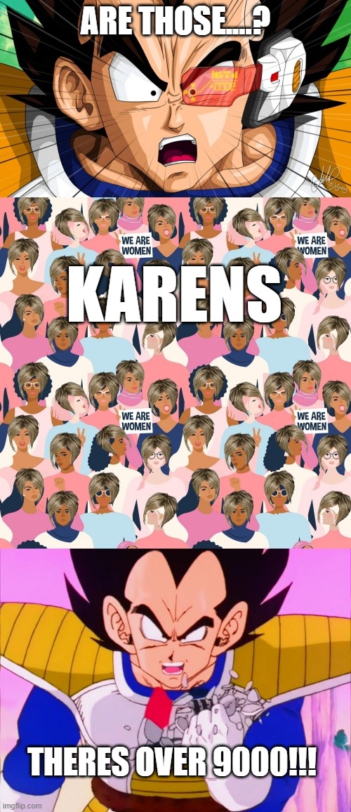 karens? | ARE THOSE....? KARENS; THERES OVER 9000!!! | image tagged in memes,funny,vegeta over 9000,dbz,karen,karens | made w/ Imgflip meme maker