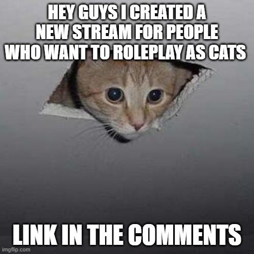 Ceiling Cat Meme | HEY GUYS I CREATED A NEW STREAM FOR PEOPLE WHO WANT TO ROLEPLAY AS CATS; LINK IN THE COMMENTS | image tagged in memes,ceiling cat | made w/ Imgflip meme maker
