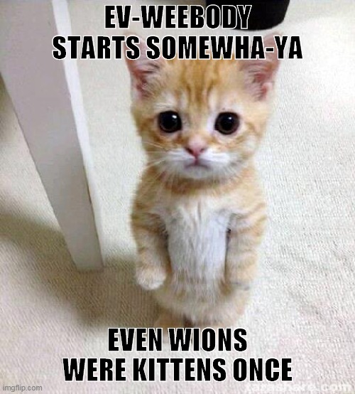 BEGINNING |  EV-WEEBODY STARTS SOMEWHA-YA; EVEN WIONS WERE KITTENS ONCE | image tagged in memes,cute cat,lion king | made w/ Imgflip meme maker