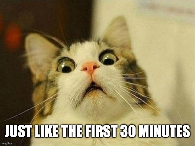 Scared Cat Meme | JUST LIKE THE FIRST 30 MINUTES | image tagged in memes,scared cat | made w/ Imgflip meme maker