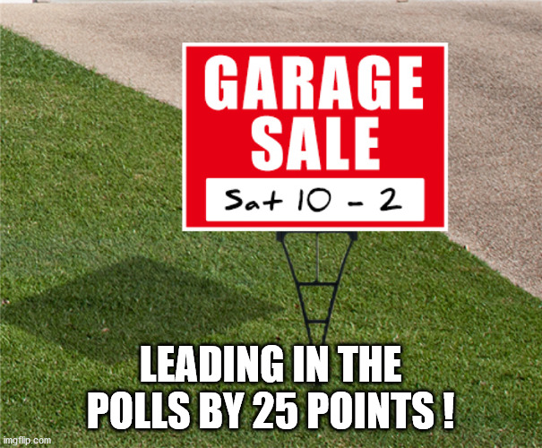 LEADING IN THE POLLS BY 25 POINTS ! | made w/ Imgflip meme maker