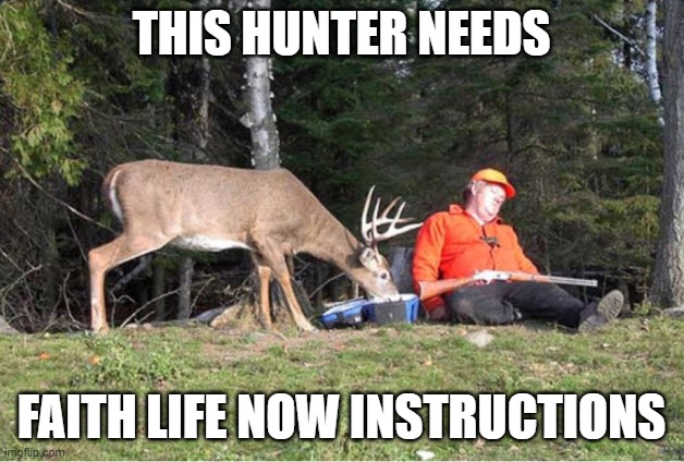 THIS HUNTER IS DEFINITELY NOT HUNGRY | THIS HUNTER NEEDS; FAITH LIFE NOW INSTRUCTIONS | image tagged in hunting season,whitetail deer | made w/ Imgflip meme maker