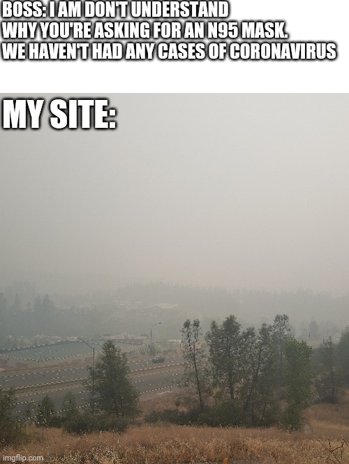 Smokey California | BOSS: I AM DON'T UNDERSTAND WHY YOU'RE ASKING FOR AN N95 MASK. WE HAVEN'T HAD ANY CASES OF CORONAVIRUS; MY SITE: | image tagged in smoke | made w/ Imgflip meme maker