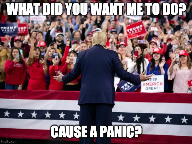 No Panic Here | WHAT DID YOU WANT ME TO DO? CAUSE A PANIC? | image tagged in trump,rally | made w/ Imgflip meme maker