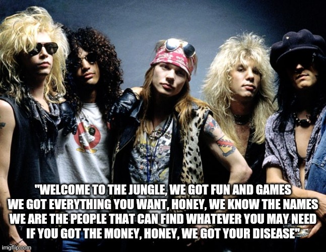 "WELCOME TO THE JUNGLE, WE GOT FUN AND GAMES
WE GOT EVERYTHING YOU WANT, HONEY, WE KNOW THE NAMES
WE ARE THE PEOPLE THAT CAN FIND WHATEVER Y | image tagged in guns n roses | made w/ Imgflip meme maker