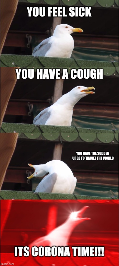 Inhaling Seagull | YOU FEEL SICK; YOU HAVE A COUGH; YOU HAVE THE SUDDEN  URGE TO TRAVEL THE WORLD; ITS CORONA TIME!!! | image tagged in memes,inhaling seagull,corona,funny memes,the most interesting justin bieber,corona time | made w/ Imgflip meme maker