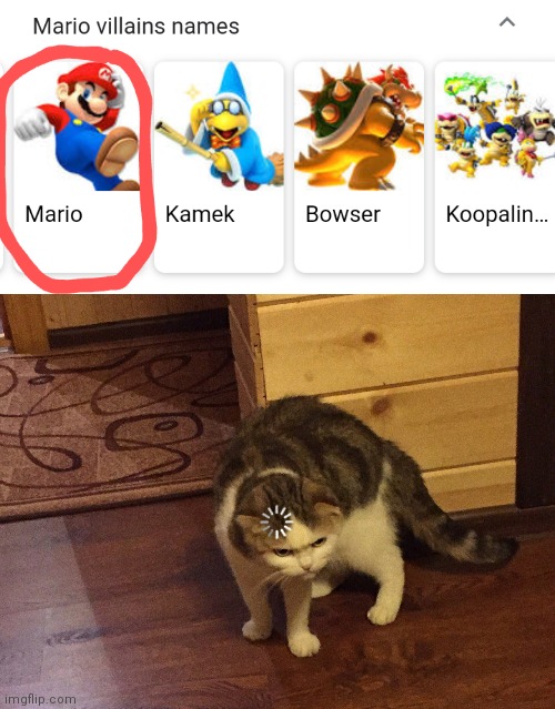 Hmmmmm | image tagged in buffering cat,mario,bowser,memes,funny memes | made w/ Imgflip meme maker