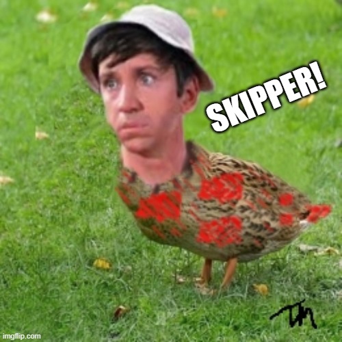 It's Gilliduck! | SKIPPER! | image tagged in gilliduck,gilligans island duck boy,cmon man,be a duck,wtd | made w/ Imgflip meme maker