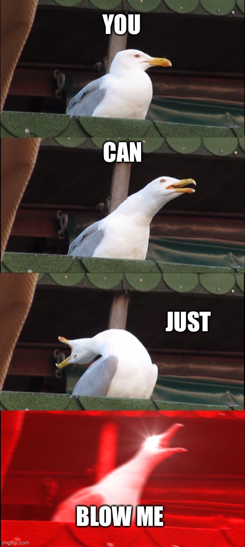 Inhaling Seagull Meme | YOU; CAN; JUST; BLOW ME | image tagged in memes,inhaling seagull | made w/ Imgflip meme maker