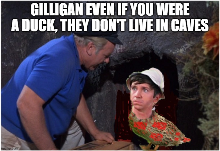 The Gilligan Can Cave | GILLIGAN EVEN IF YOU WERE A DUCK, THEY DON'T LIVE IN CAVES | image tagged in gilligans man cave | made w/ Imgflip meme maker