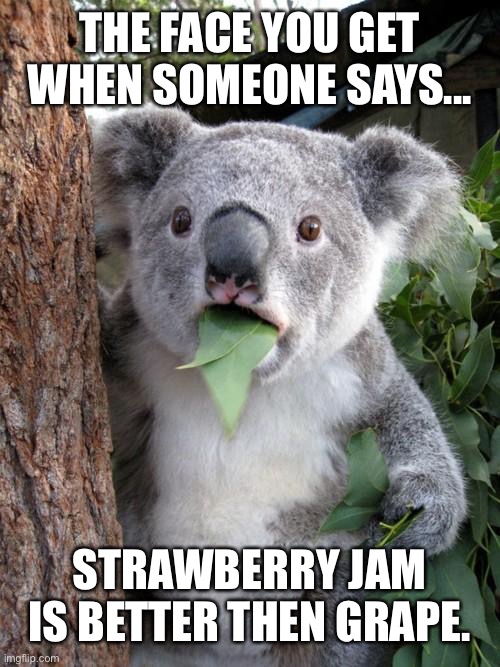 Surprised Koala | THE FACE YOU GET WHEN SOMEONE SAYS... STRAWBERRY JAM IS BETTER THEN GRAPE. | image tagged in memes,surprised koala | made w/ Imgflip meme maker