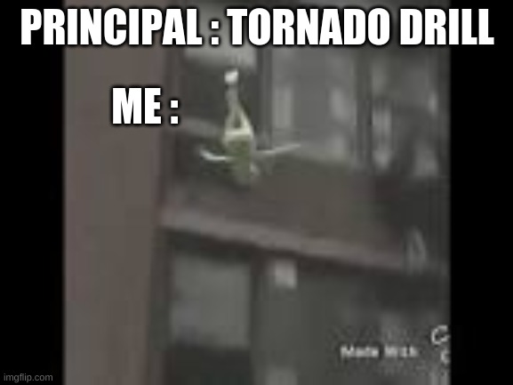 totally me during a tornado drill | PRINCIPAL : TORNADO DRILL; ME : | image tagged in kermit window | made w/ Imgflip meme maker