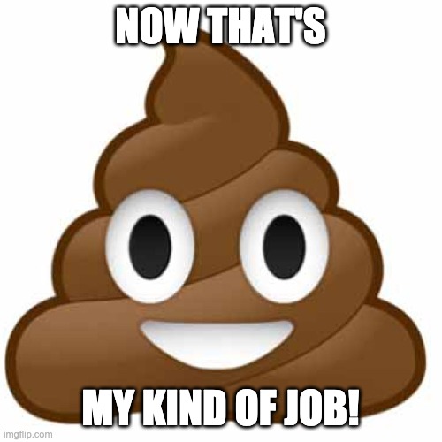 Poop emoji | NOW THAT'S MY KIND OF JOB! | image tagged in poop emoji | made w/ Imgflip meme maker