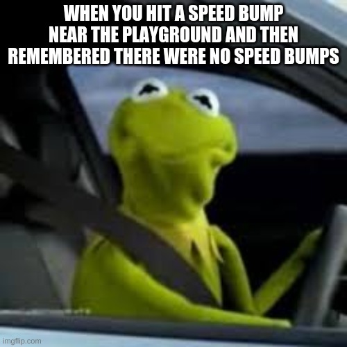 WHEN YOU HIT A SPEED BUMP NEAR THE PLAYGROUND AND THEN REMEMBERED THERE WERE NO SPEED BUMPS | image tagged in kermit the frog | made w/ Imgflip meme maker