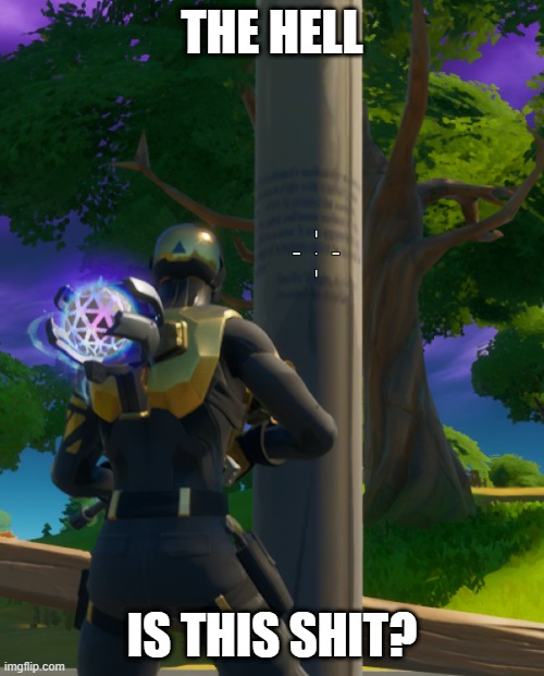 Gold 8-Ball Reading A Pole | THE HELL; IS THIS SHIT? | image tagged in fortnite | made w/ Imgflip meme maker