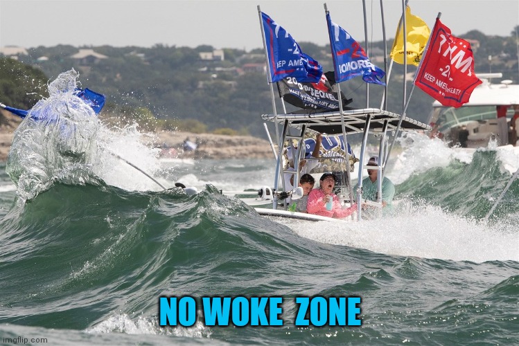 sink the trump boat | NO WOKE  ZONE | image tagged in sink the trump boat | made w/ Imgflip meme maker