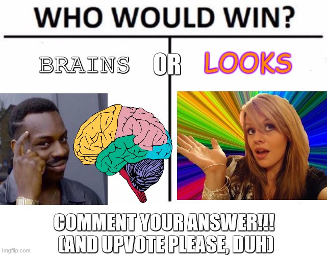 Who Would Win? Meme | BRAINS; LOOKS; OR; COMMENT YOUR ANSWER!!! 
(AND UPVOTE PLEASE, DUH) | image tagged in memes,who would win,brains,looks,dumb | made w/ Imgflip meme maker