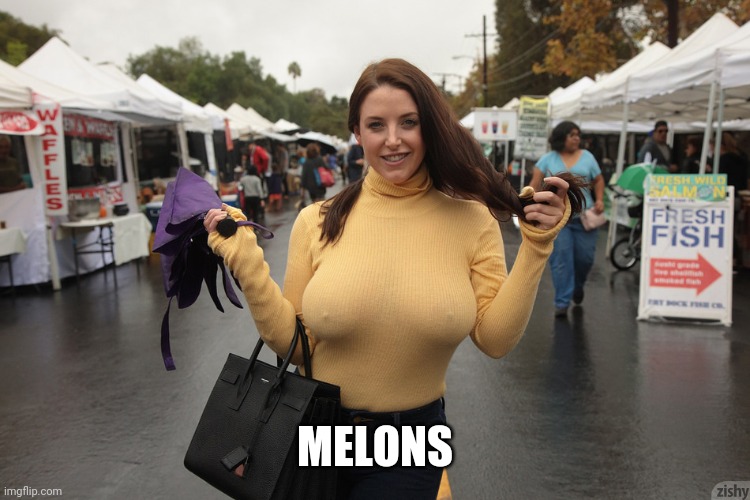 busty & braless with hard nipples | MELONS | image tagged in busty braless with hard nipples | made w/ Imgflip meme maker