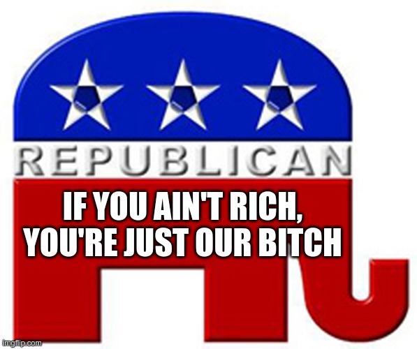 Republican Platform | IF YOU AIN'T RICH, YOU'RE JUST OUR BITCH | image tagged in gop,republican,suckers,fascists,nazis | made w/ Imgflip meme maker