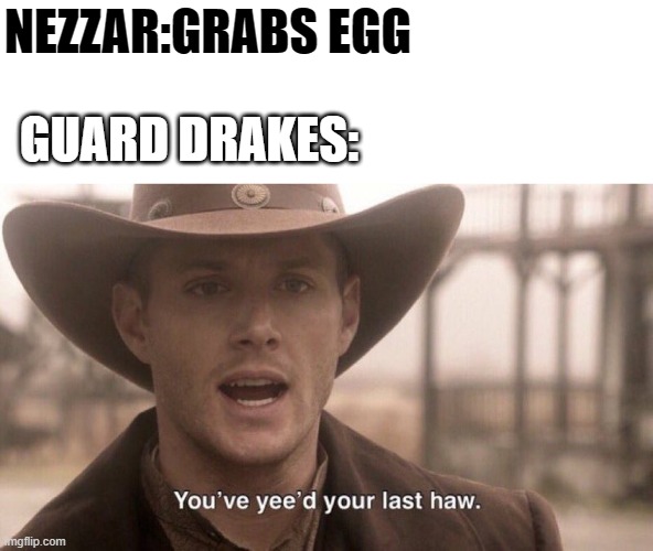 You've Yee'd Your Last Haw | NEZZAR:GRABS EGG; GUARD DRAKES: | image tagged in you've yee'd your last haw | made w/ Imgflip meme maker