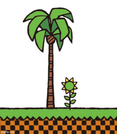 Palm tree! | image tagged in palm tree | made w/ Imgflip meme maker