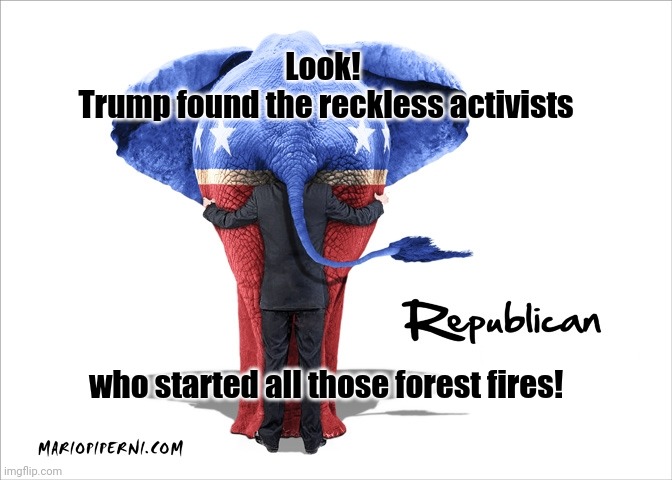 GOP Republican elephant | Look! 
Trump found the reckless activists; who started all those forest fires! | image tagged in gop republican elephant | made w/ Imgflip meme maker