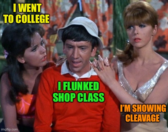 ginger vs maryann | I WENT TO COLLEGE I FLUNKED SHOP CLASS I’M SHOWING CLEAVAGE | image tagged in ginger vs maryann | made w/ Imgflip meme maker