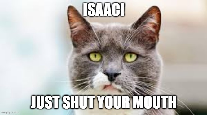 ANNOYED CAT | ISAAC! JUST SHUT YOUR MOUTH | image tagged in annoyed cat | made w/ Imgflip meme maker