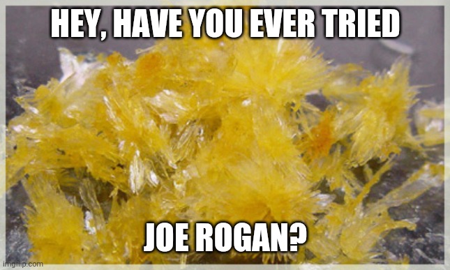 Dmt tries Joe Rogan | HEY, HAVE YOU EVER TRIED; JOE ROGAN? | image tagged in joe rogan,dmt,podcast | made w/ Imgflip meme maker