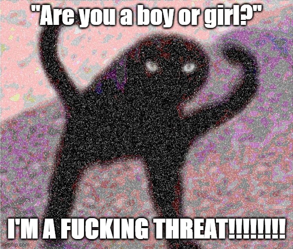 "Are you a boy or girl?"; I'M A FUCKING THREAT!!!!!!!! | made w/ Imgflip meme maker