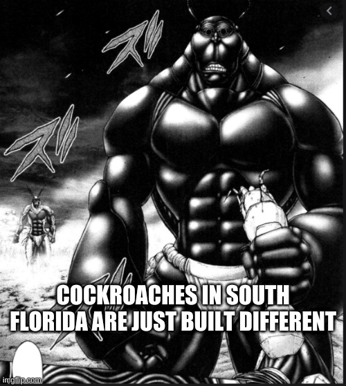 Pro Sports Team Idea - The Florida Roaches | COCKROACHES IN SOUTH FLORIDA ARE JUST BUILT DIFFERENT | made w/ Imgflip meme maker