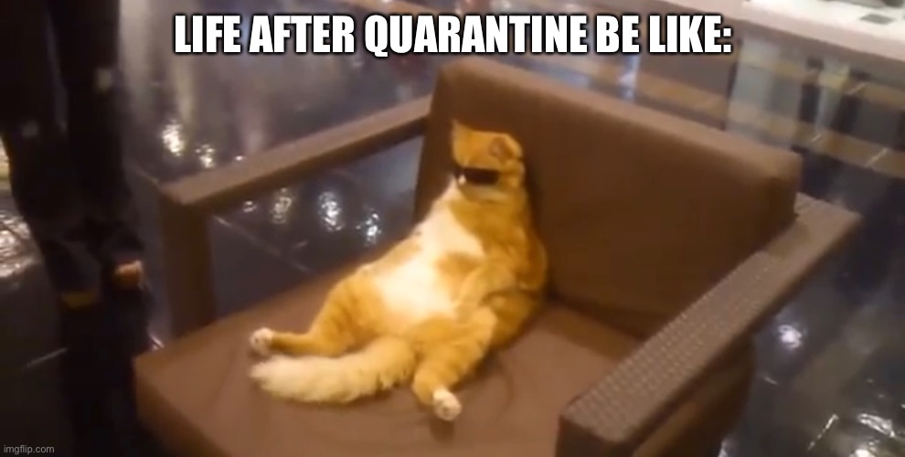 Life after quarantine be like: or during does not matter | LIFE AFTER QUARANTINE BE LIKE: | image tagged in coronavirus | made w/ Imgflip meme maker