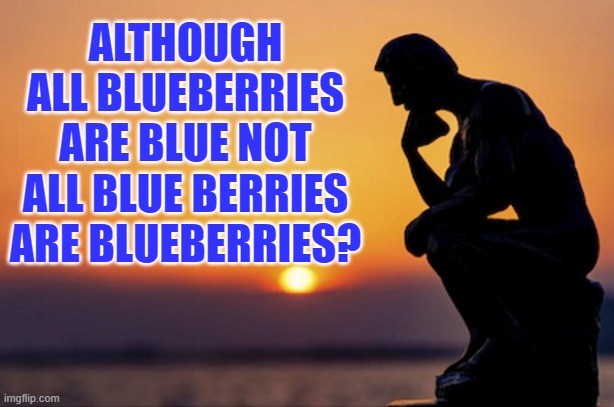 think about it | ALTHOUGH ALL BLUEBERRIES ARE BLUE NOT ALL BLUE BERRIES ARE BLUEBERRIES? | image tagged in blueberries,blue berries | made w/ Imgflip meme maker
