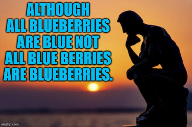 blue berries | ALTHOUGH ALL BLUEBERRIES ARE BLUE NOT ALL BLUE BERRIES ARE BLUEBERRIES. | image tagged in blueberries,kewlew | made w/ Imgflip meme maker