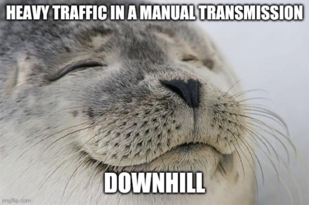 Satisfied Seal Meme | HEAVY TRAFFIC IN A MANUAL TRANSMISSION; DOWNHILL | image tagged in memes,satisfied seal,AdviceAnimals | made w/ Imgflip meme maker