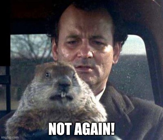Groundhog Day | NOT AGAIN! | image tagged in groundhog day | made w/ Imgflip meme maker