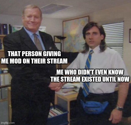 the office congratulations | THAT PERSON GIVING ME MOD ON THEIR STREAM; ME WHO DIDN'T EVEN KNOW THE STREAM EXISTED UNTIL NOW | image tagged in the office congratulations | made w/ Imgflip meme maker