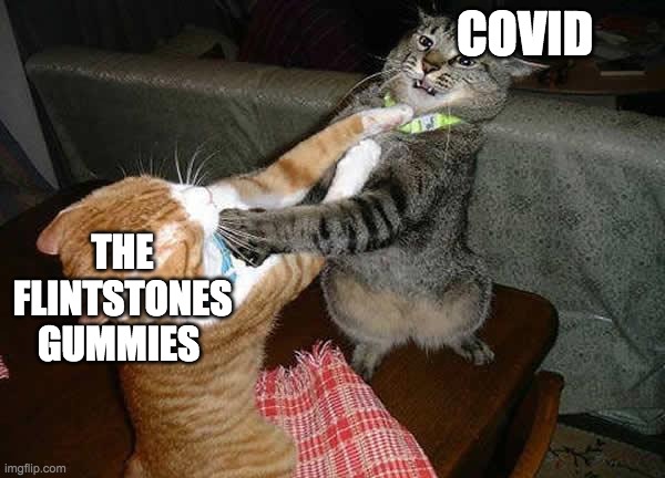 Two cats fighting for real | COVID; THE FLINTSTONES GUMMIES | image tagged in two cats fighting for real | made w/ Imgflip meme maker