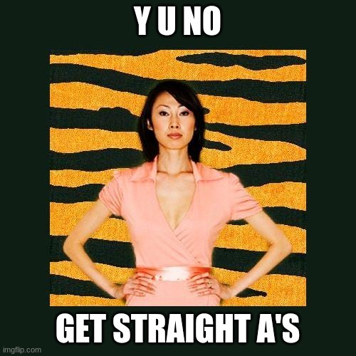 Tiger Mom | Y U NO GET STRAIGHT A'S | image tagged in tiger mom | made w/ Imgflip meme maker