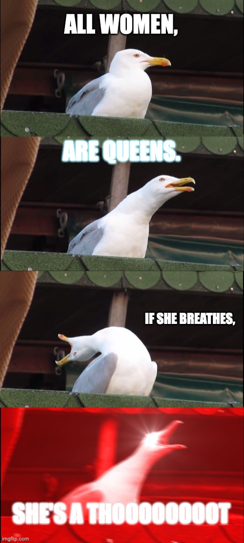 which side are you on? | ALL WOMEN, ARE QUEENS. IF SHE BREATHES, SHE'S A THOOOOOOOOT | image tagged in memes,inhaling seagull | made w/ Imgflip meme maker