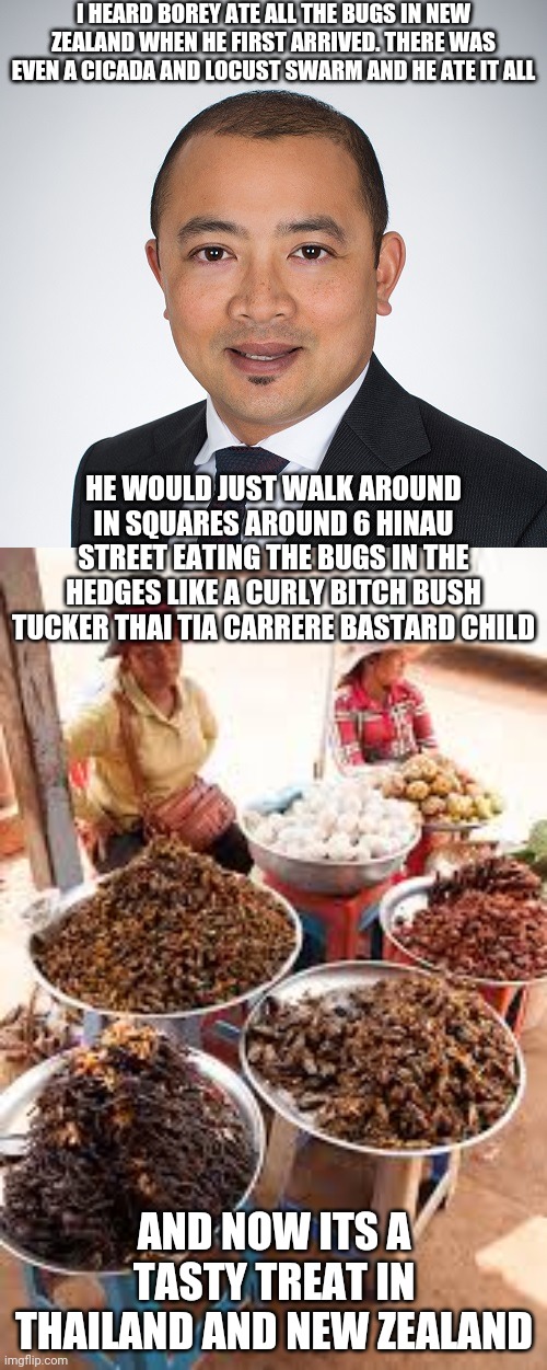 Borey eats bugs and blames it on others | I HEARD BOREY ATE ALL THE BUGS IN NEW ZEALAND WHEN HE FIRST ARRIVED. THERE WAS EVEN A CICADA AND LOCUST SWARM AND HE ATE IT ALL; HE WOULD JUST WALK AROUND IN SQUARES AROUND 6 HINAU STREET EATING THE BUGS IN THE HEDGES LIKE A CURLY BITCH BUSH TUCKER THAI TIA CARRERE BASTARD CHILD; AND NOW ITS A TASTY TREAT IN THAILAND AND NEW ZEALAND | image tagged in borey the fake graduate | made w/ Imgflip meme maker