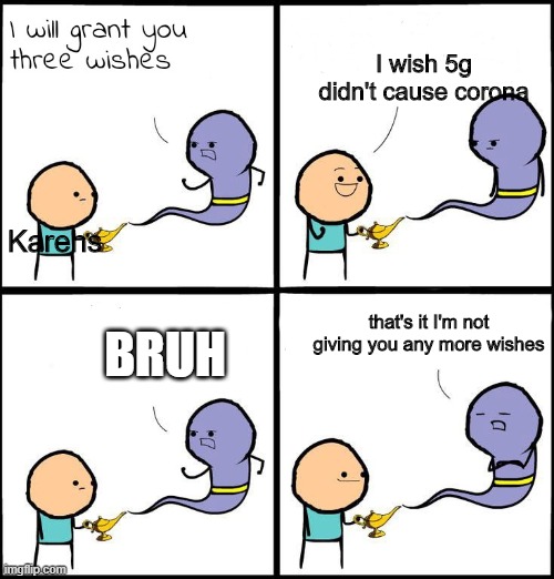 3 Wishes | I wish 5g didn't cause corona; Karens; BRUH; that's it I'm not giving you any more wishes | image tagged in 3 wishes | made w/ Imgflip meme maker