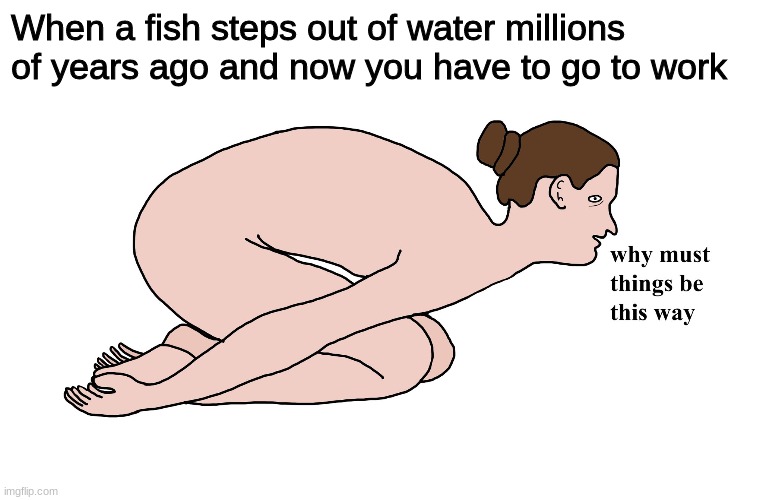 ... | When a fish steps out of water millions of years ago and now you have to go to work | image tagged in why must things be this way | made w/ Imgflip meme maker