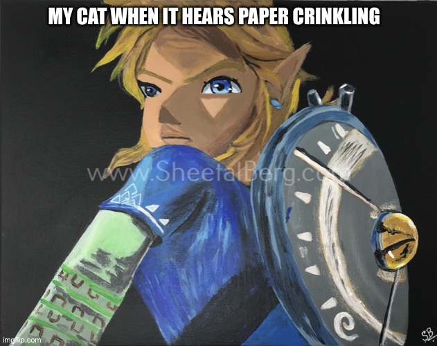 That face | MY CAT WHEN IT HEARS PAPER CRINKLING | image tagged in cat,link,paper | made w/ Imgflip meme maker