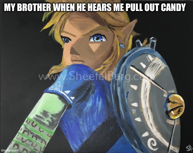 That face tho | MY BROTHER WHEN HE HEARS ME PULL OUT CANDY | image tagged in candy,zelda,link | made w/ Imgflip meme maker