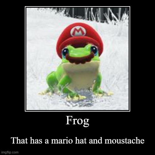 A Frog | image tagged in funny,demotivationals | made w/ Imgflip demotivational maker