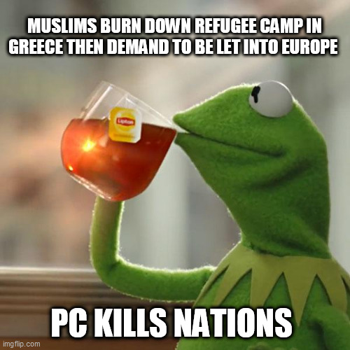 But That's None Of My Business Meme | MUSLIMS BURN DOWN REFUGEE CAMP IN GREECE THEN DEMAND TO BE LET INTO EUROPE; PC KILLS NATIONS | image tagged in memes,but that's none of my business,kermit the frog | made w/ Imgflip meme maker