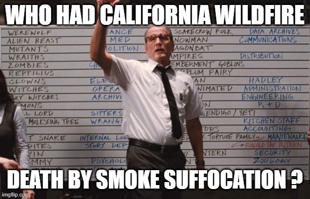 September 2020 | WHO HAD CALIFORNIA WILDFIRE; DEATH BY SMOKE SUFFOCATION ? | image tagged in cabin the the woods,whats killing usa now | made w/ Imgflip meme maker