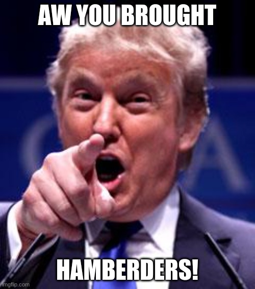 Trump Trademark | AW YOU BROUGHT HAMBERDERS! | image tagged in trump trademark | made w/ Imgflip meme maker